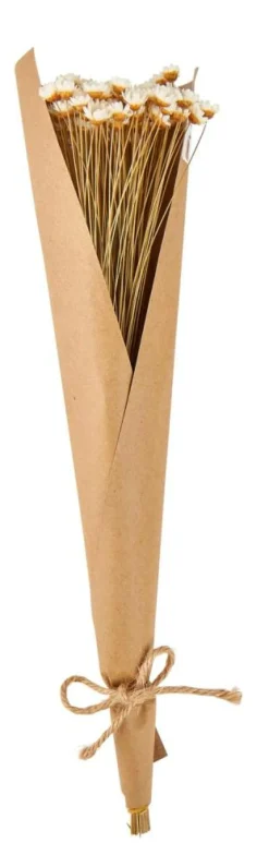 ACTINO Fleurs Séchées Blanc^CASA New