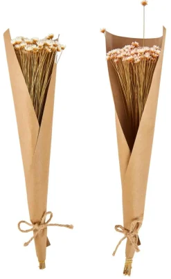 ACTINO Fleurs Séchées Rose^CASA Online