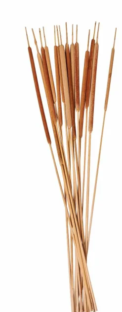 AFRIKA Vase Naturel^CASA Sale