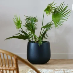 ARECA Palmier Vert^CASA Sale