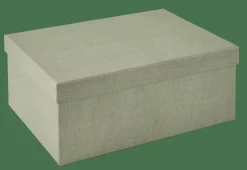 BIGSO Boîte De Rangement L Menthe^CASA Clearance