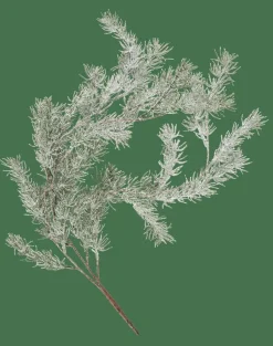 CEDER Branche Décorative Vert^CASA Hot