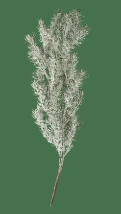 CEDER Branche Décorative Vert^CASA Hot