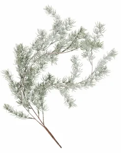 CEDER Branche Décorative Vert^CASA