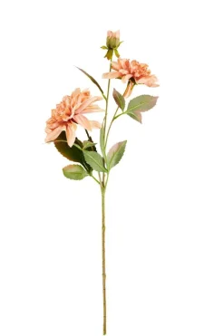 DAHLIA Tige De Fleurs Pêche^CASA Discount