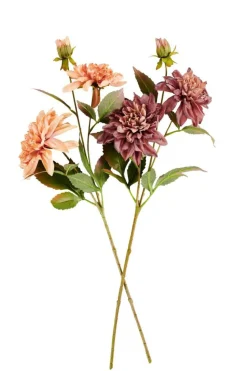 DAHLIA Tige De Fleurs Pêche^CASA Discount