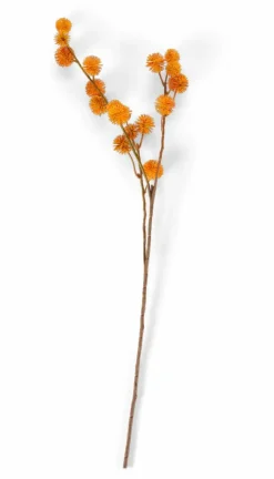 DANDIL Tige Orange^CASA