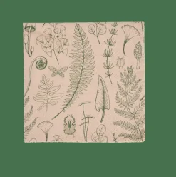 ECO NATURE Set De 20 Serviettes Multicolore^CASA Clearance