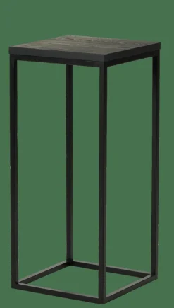 EKI Support Pour Plantes Noir^CASA Hot