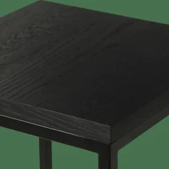 EKI Support Pour Plantes Noir^CASA Hot