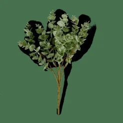 EUCALYPTUS Branche D'eucalyptus Vert^CASA Outlet