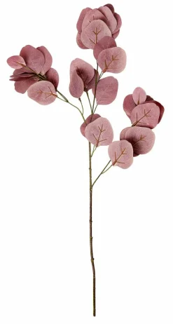 EUCALYPTUS Couronne Vert^CASA Outlet