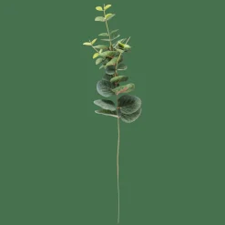 EUCALYPTUS Tige Artificielle Vert^CASA