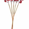 FOAM Branche De Grenadier Rouge^CASA Sale