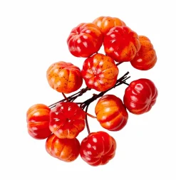 FOAM Branche De Grenadier Rouge^CASA Sale