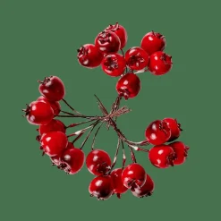 FOAM Déco églantier Rouge^CASA Sale