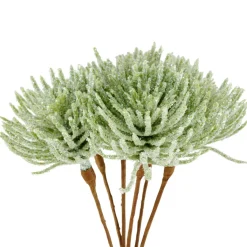 FROST Mélèze Vert^CASA New