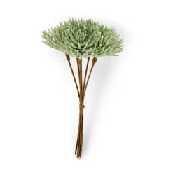 FROST Mélèze Vert^CASA New