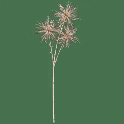 GOLDY Chardon Champagne Doré^CASA Discount