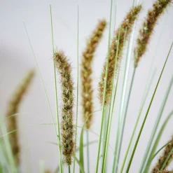 GRASS Botte D'herbe Vert^CASA Clearance