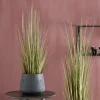 HERBA Herbe En Pot Vert^CASA New