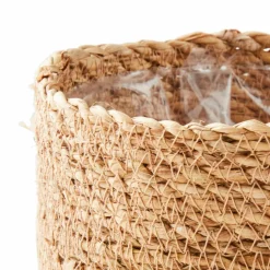 HERBA Herbe En Pot Vert^CASA Online