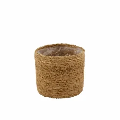 HERBA Herbe En Pot Vert^CASA Online