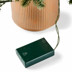 HYMNE Branche Décorative Vert^CASA