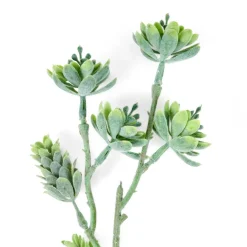 LAGURUS Lagure Ovale Naturel^CASA Online