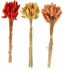 LAGURUS Lagure Ovale Naturel^CASA Online