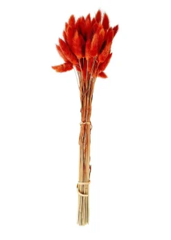 LAGURUS Lagure Ovale Rouge^CASA Discount