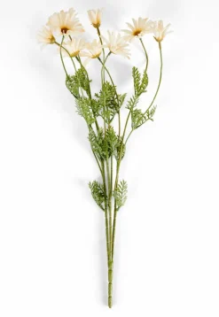 LINDE Vase Beige^CASA Hot