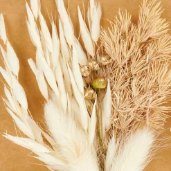 MIA Décoration Séchée Beige^CASA Clearance