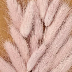 MINA Cloche Avec Déco Séchée Rose^CASA New