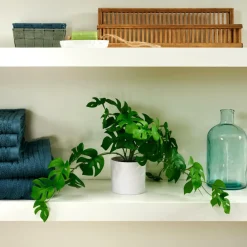 MONSTERA Plante Diverses Couleurs, Blanc, Vert^CASA New