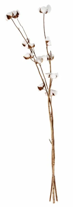 MONTANA Vase Sable^CASA Hot