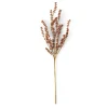 MOTHERWORT Branche D'herbes Rose^CASA Sale