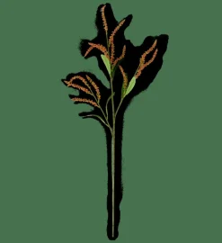 OPHIO Branche^CASA Sale