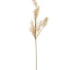 PAMPA Herbe Des Pampas Blanc^CASA Clearance