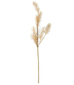 PAMPA Herbe Des Pampas Blanc^CASA Clearance