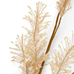 PAMPA Herbe Des Pampas Blanc^CASA Clearance