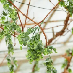 PAMPAS Tiges D'herbe Gris^CASA Sale