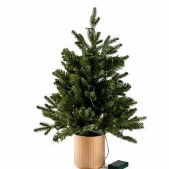 PINUS Branche De Noël Rouge, Vert^CASA Outlet
