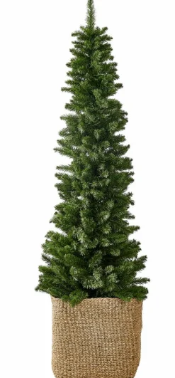 PINUS Branche De Noël Rouge, Vert^CASA Outlet