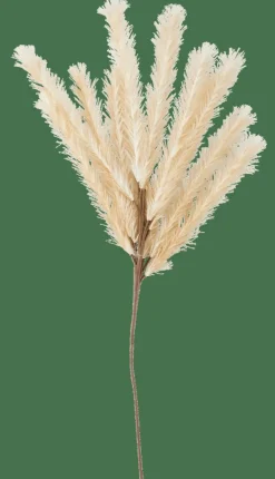 PLUME Plume Artificielle Beige^CASA Discount