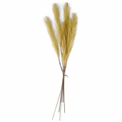 PLUME Plumes Décoratives Brun Clair^CASA Clearance