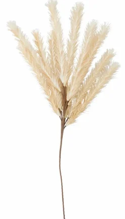 PLUME Plumes Décoratives Brun Clair^CASA Clearance