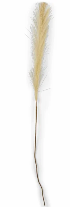 PLUME Plumes Décoratives Brun Clair^CASA Clearance