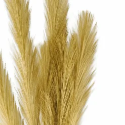 PLUME Plumes Décoratives Brun Clair^CASA Clearance