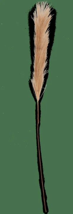 PLUME Plumes Décoratives Brun^CASA